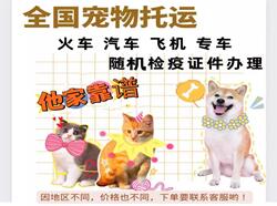 国内宠物托运公司