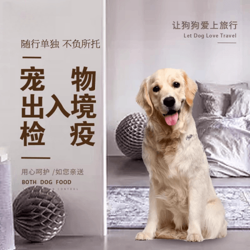 海东地区宠物托运到哥伦比亚猫狗宠物入境规定和