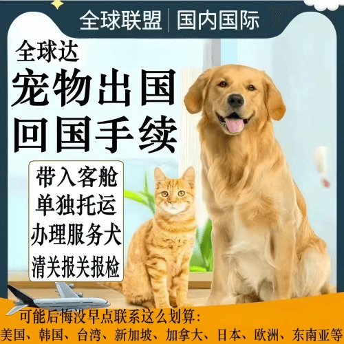 海东地区宠物托运到柬埔寨宠物入境规定和要求