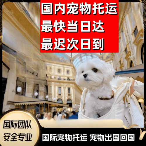 海东地区到澳大利亚（澳洲）宠物入境规定和要求