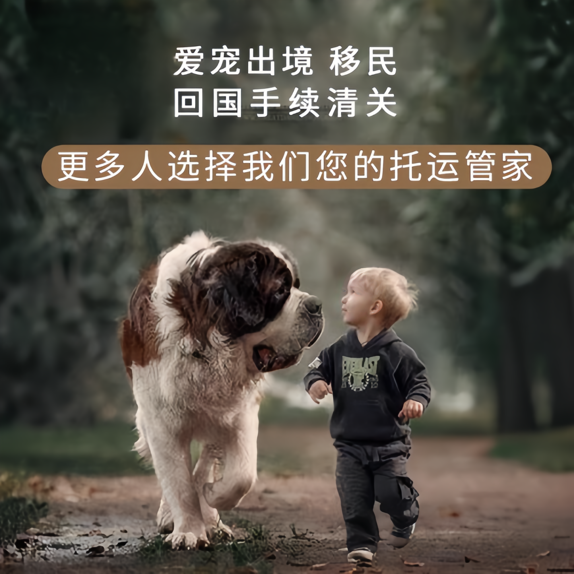 满财海东地区宠物全球达宠物托运在遵守入境目的地政策的条件