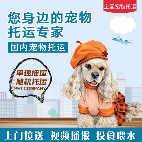 满财海东地区宠物全球达宠物托运作为专业的宠物运输代理机构